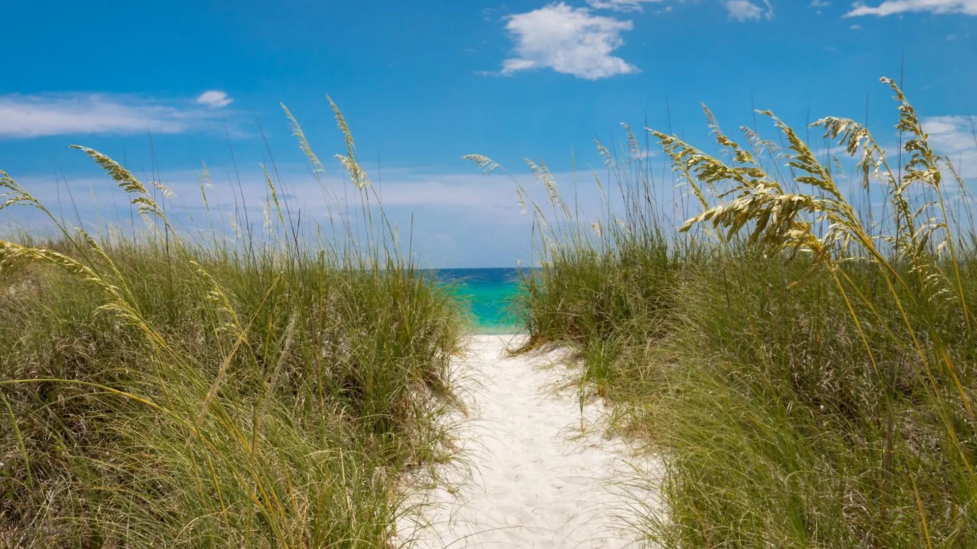 Holiday home Grandview East Resort 604 - Shore Is Nice Panama City Beach United States